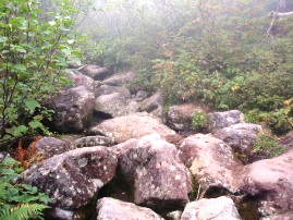 そして岩、岩、岩