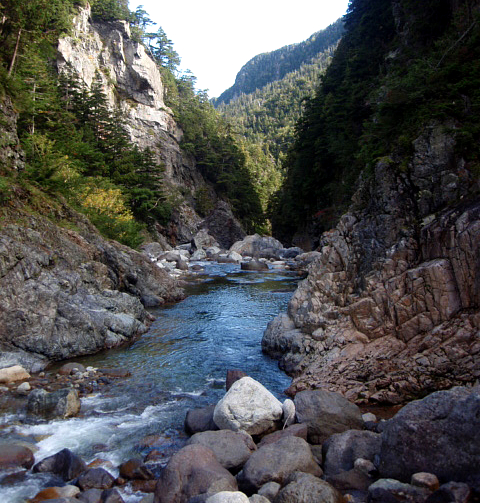 ������V���k�ɑ���ۂ�