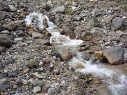 �͂����ꂽ��