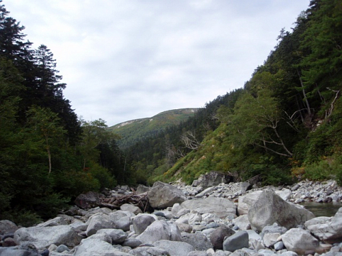 �I���̗\��