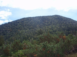 �Ō�̃r�[��