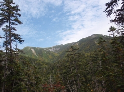 �Ō�̃r�[��