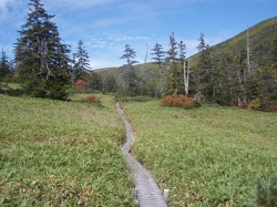 �Ō�̃r�[��