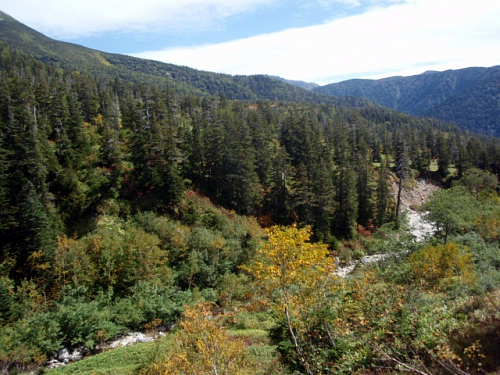 �����ɖ������Ă��܂���