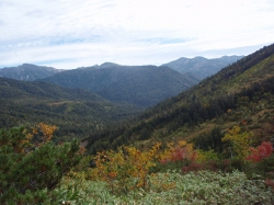 �������o��Ɋ��t�I���āA����H