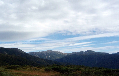 �S���Ԃ�U��Ԃ�