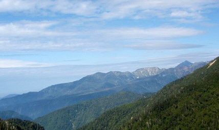 ���@�������̂͒N���H